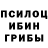 Галлюциногенные грибы прущие грибы Tatarus31