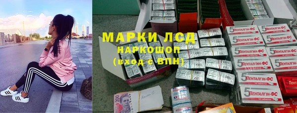 стафф Армянск